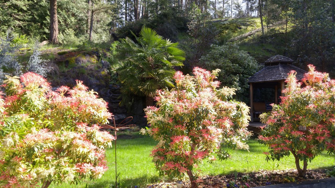 Sunshine Coast Treetop B&B Sechelt Exterior foto