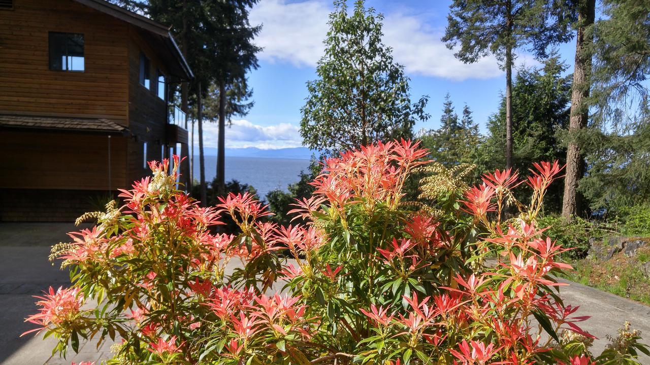 Sunshine Coast Treetop B&B Sechelt Exterior foto