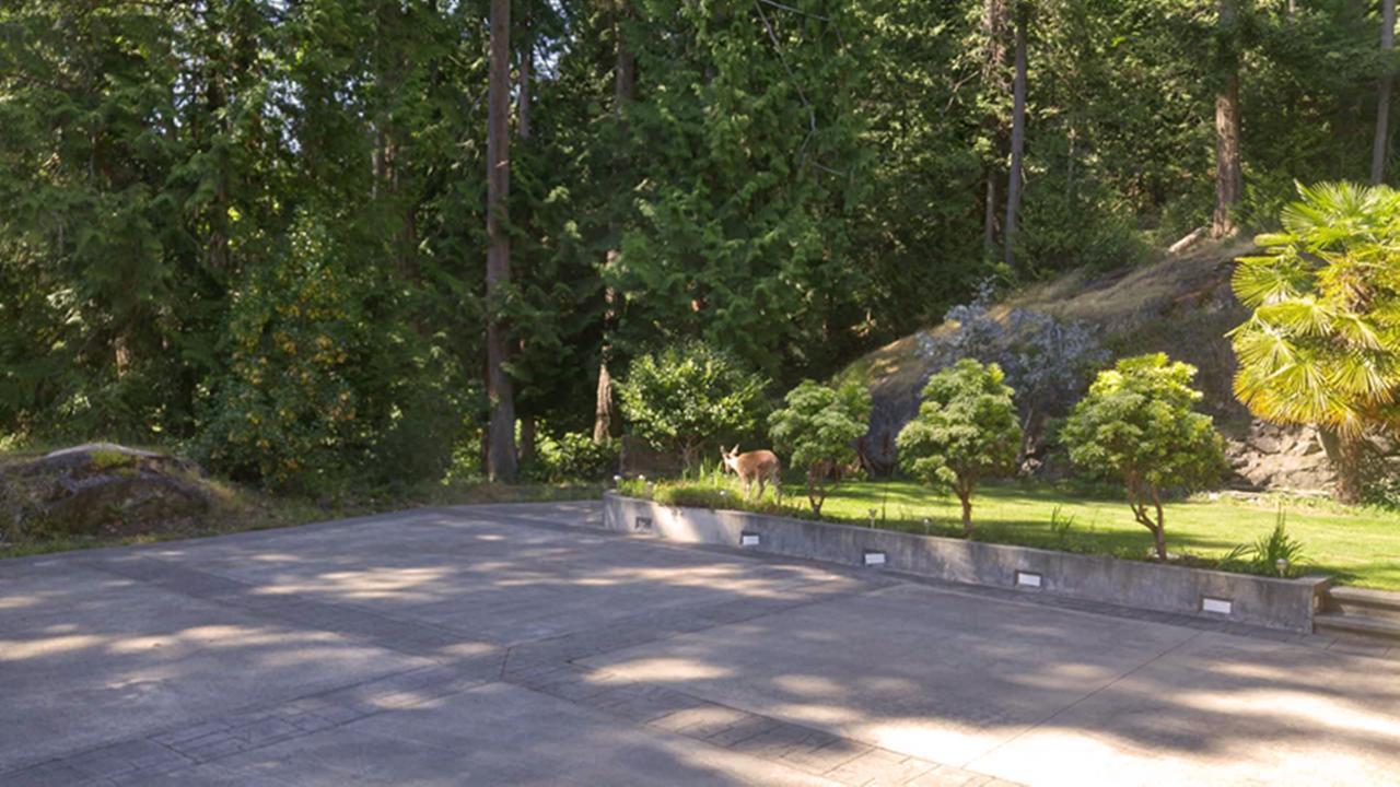 Sunshine Coast Treetop B&B Sechelt Exterior foto