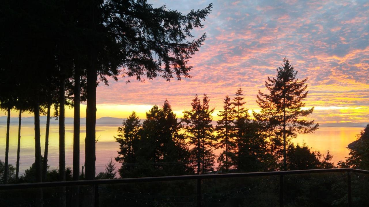 Sunshine Coast Treetop B&B Sechelt Exterior foto